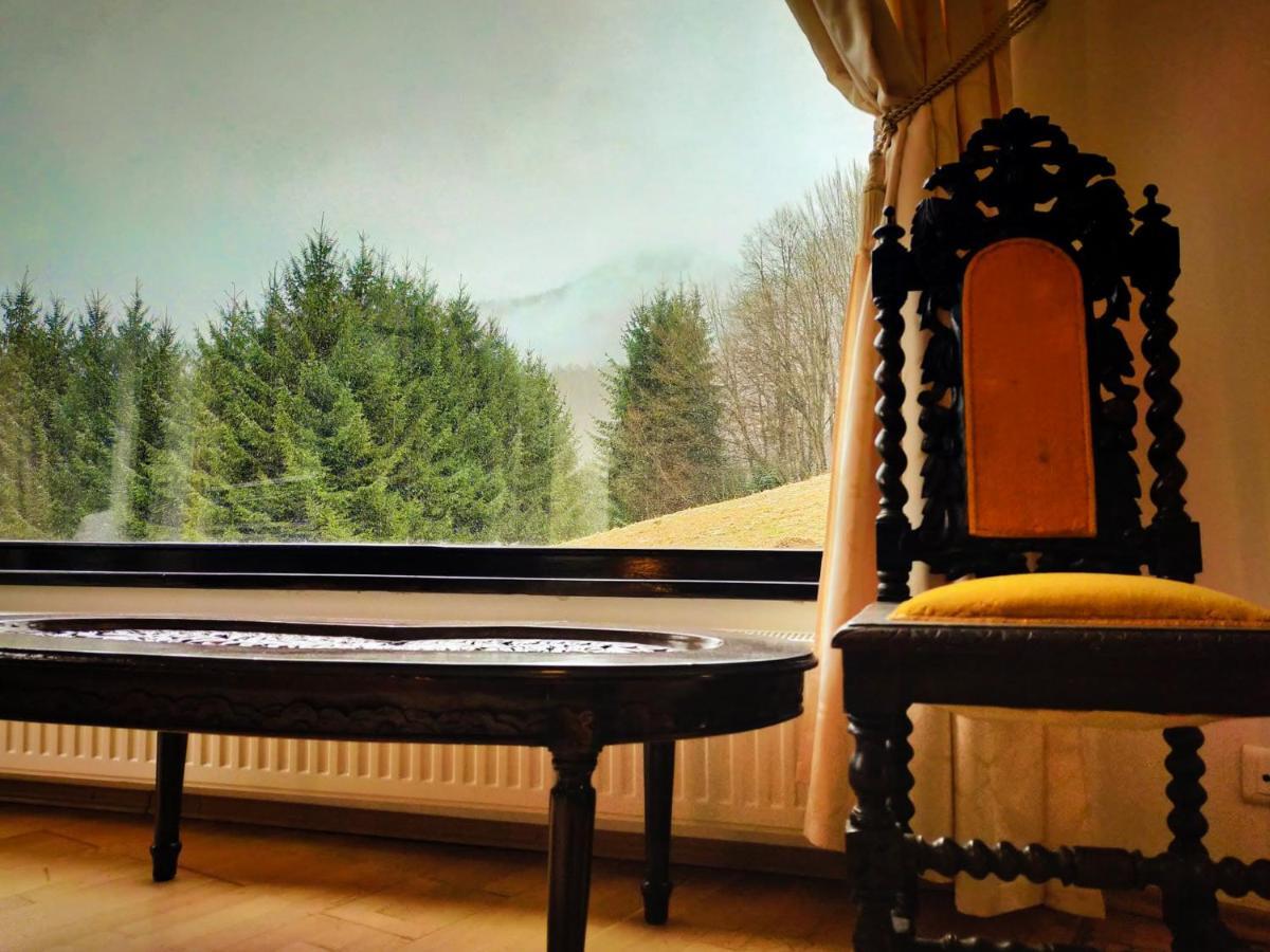 Villa & Spa 4Temporadas - Plaiul Foii Zărneşti Exterior foto